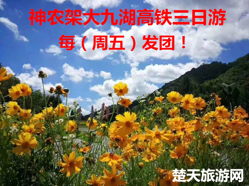 鄭州到神農架大九湖旅游推薦|神農架大九湖高鐵三日游|神農架旅游攻略|神農架高鐵站在哪|神農架旅行社